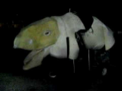 501st NEG Dewback Build 501st NEG Dewback Build