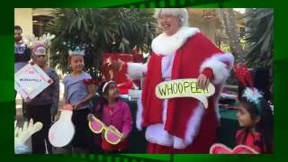 Mrs. Claus Show for Children with Cat