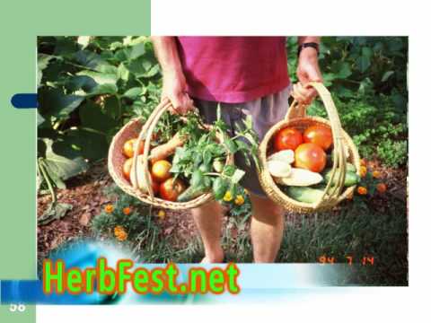 Organic Gardening Magazine on Beyond Organic 3 Ways To Get Yours   Worldnews Com