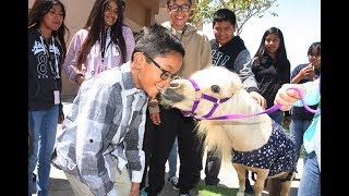 Local Youth Inspire Compassion through Paws Up For Pets
