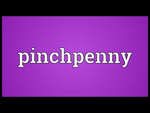 Header of pinchpenny