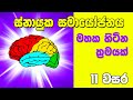 O/L Science Sinhala | Grade 11 Science Unit 6 Part 4| Nervous System | ස්නායුක සමායෝජනය