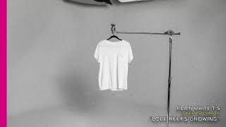 Plain White Ts - Love Keeps Growing