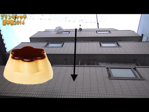 プリンキャッチ選手権2014