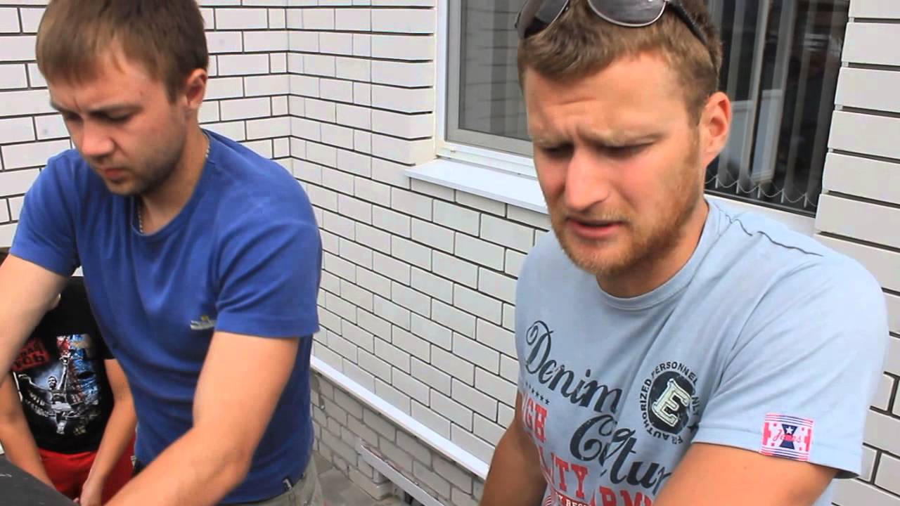 Туя - посадка, уход, продажа. Что такое туя? Где лучше купить Туя западная Брадант - посадка и уход, отличие от туи Смарагд
