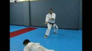 Bunkai - Gojushi Ho Sho By Yuval Abergil