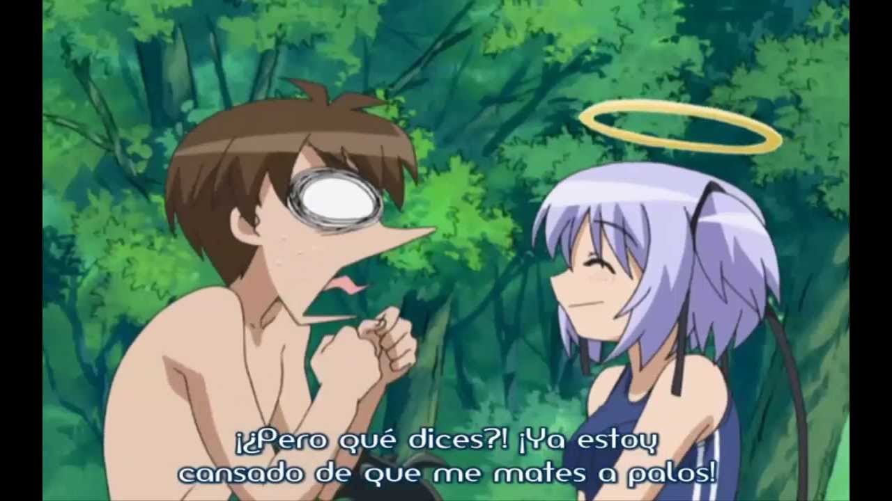 animes sekirei