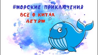 О Китах Детям. Какие Бывают Киты.