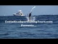 North Cal Sportfishing