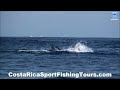 North Cal Sportfishing