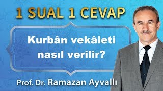 Kurbân vekâleti nasıl verilir?