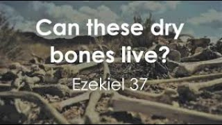 "These Bones Can Live Again!" Ezekiel 37:1-3