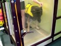 German Shepherd Dog Using Underwater Treadmill 1st TIME! - Floppycats