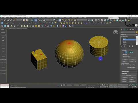 Tìm hiểu đối tượng editable Poly trong 3dsmax 2020 | Chức năng Tab selection 3dsmax 2020