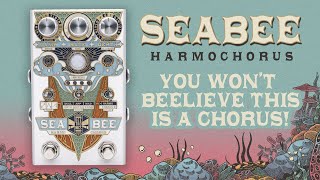 Beetronics - Seabee Harmochorus