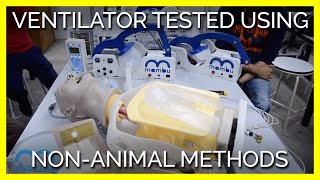 Ventilator Successfully Tested Using Non-Animal Methods