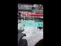 thatwouldbegreat