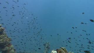 Underwater 3