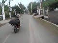 image Atraksi Motor Lucu Ban Nabrak Pengendara Sepeda Ontel