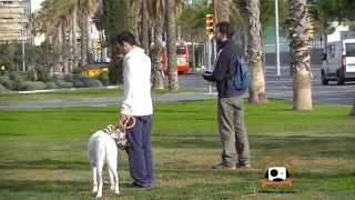 Modificación conductual