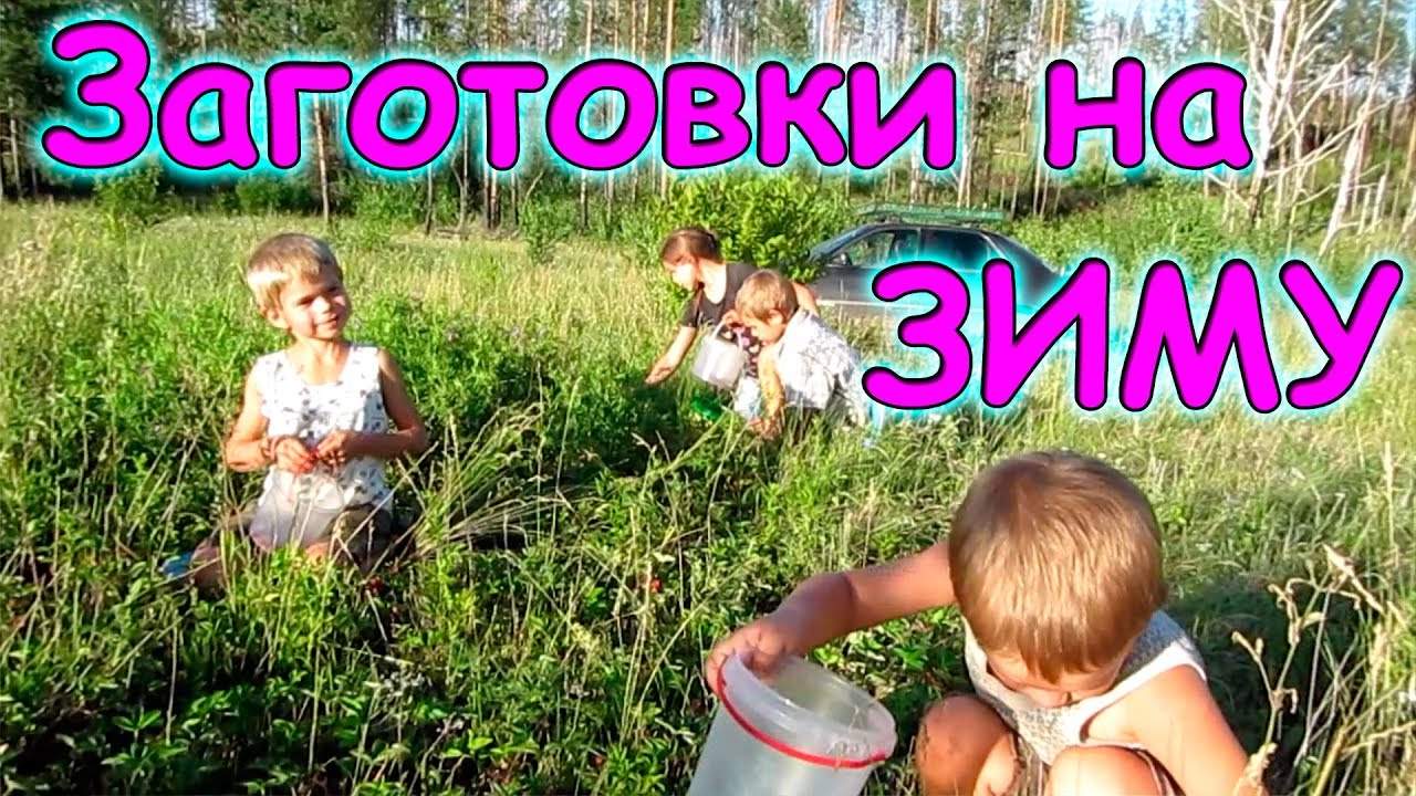 СТОЛОТО и Русское лото - отзывы реальных людей в 2018 Переезд в Россию на ПМЖ 2018: варианты, документы