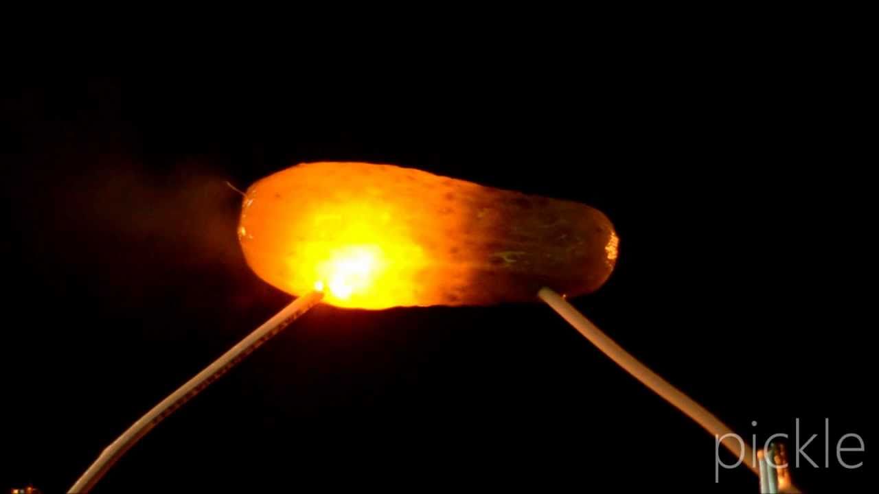 Electric Pickle, Bacon and Soy Sauce YouTube