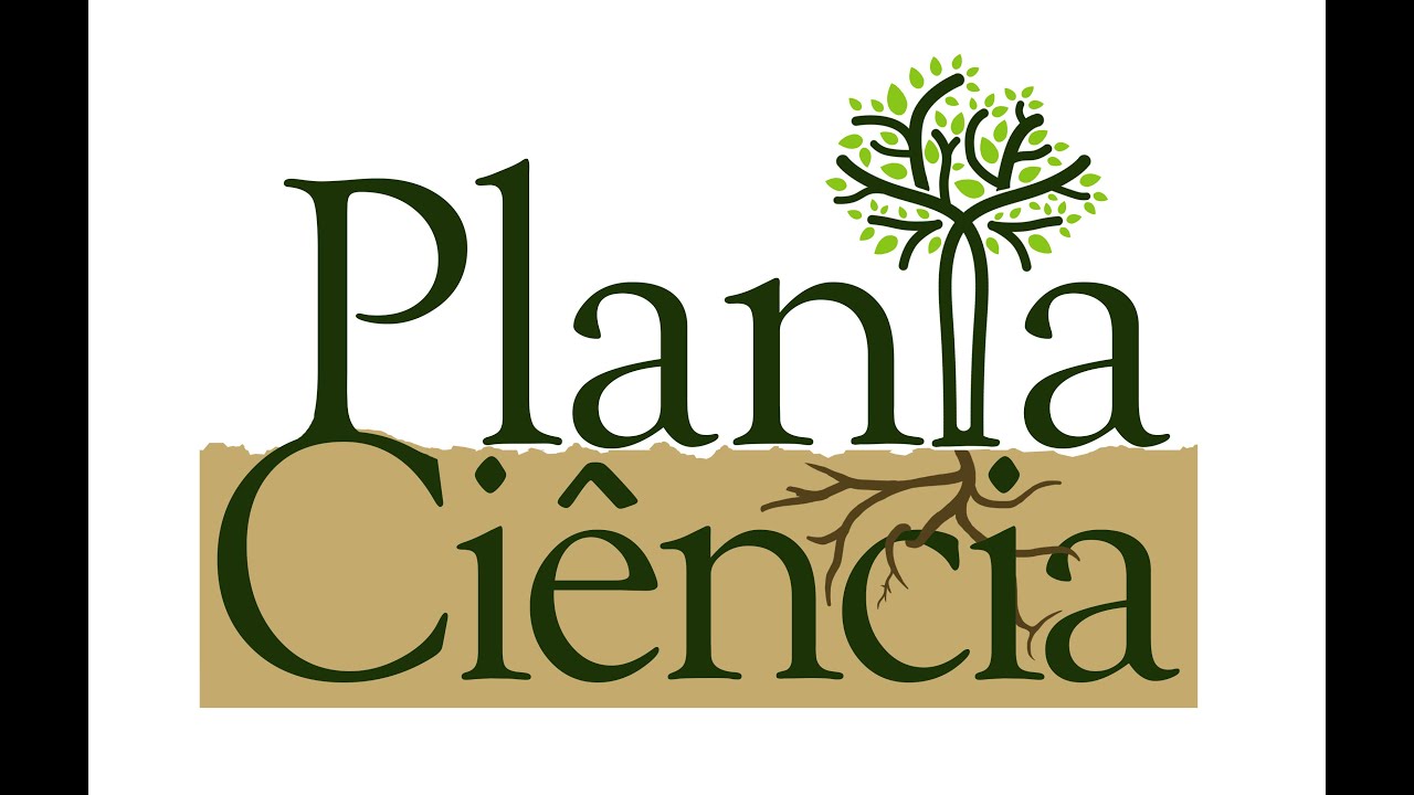 Divulgação Científica sobre plantas medicinais nas mídias sociais - Debate/Roda de Conversa