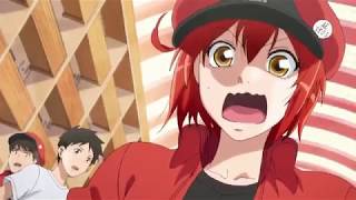 How Can Anime Make Us Ship Cells | Hataraku Saib?