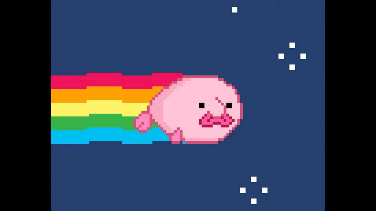 Nyan Blobfish - YouTube