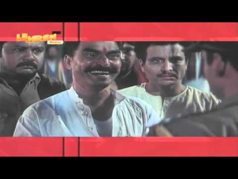 Sayaji Shindes Career Journey