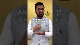 Aloe Vera A Natural Remedy For Ringworms