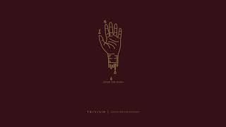 Watch Trivium Sever The Hand video