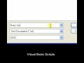 Overview: Visual Basic Scripts
