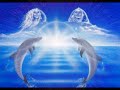 ENERGETICA