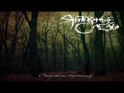 Under The Fields Of Ages Video