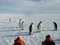 Close Encounters of the Emperor Penguin Kind