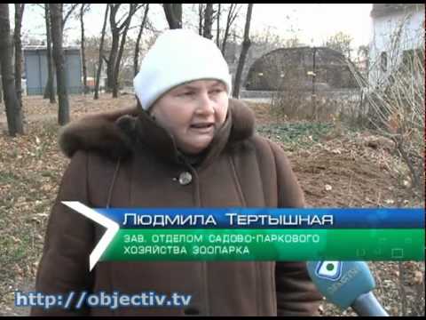 Харьковский зоопарк продает навоз