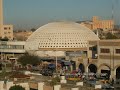 معرض العسل سيدي بلعباس