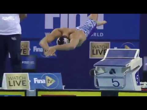 بطولة كأس العالم للسباحة فينا 2019 الدوحة ( قطر )