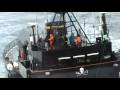 Risk And Safety Statements Example | RM. Risk And Safety Statements Example | RM.