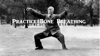 Taoist Masters And The Legacy Of Bone Breathing Taoist Masters And The Legacy Of Bone Breathing