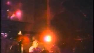 Watch Samples Moonlit Treese video