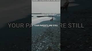 Always Remember Whatsapp Status Billionaire Atude Status