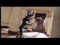 Ranker Video