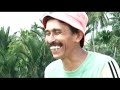 image Keujruen Blang Adat Turun Ke Sawah Eumpang Breuh M Adli Abdullah