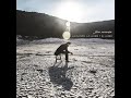 Latido Unánime Video preview