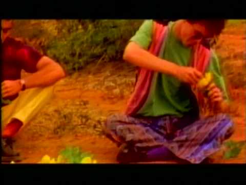 Estados Alterados - Seres De La Noche