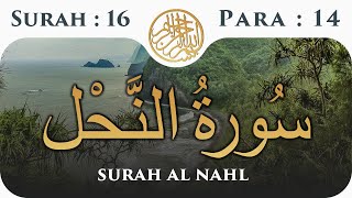 16 Surah An Nahl  | Para 14 | Visual Quran With Urdu Translation