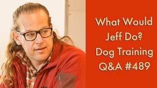 Kennel Training Dogs | Bonker Dog Training | What Would Jeff Do? Dog Training Q & A #489
