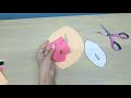 Maqueta del Aparato Reproductor Femenino Externo